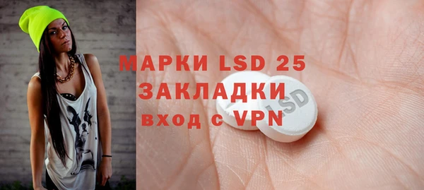 ПСИЛОЦИБИНОВЫЕ ГРИБЫ Покров
