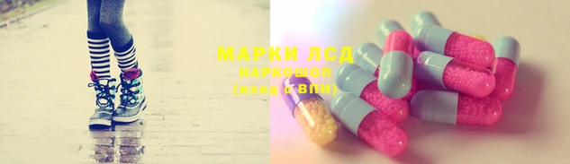 ПСИЛОЦИБИНОВЫЕ ГРИБЫ Покров