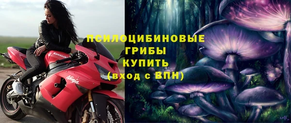 гидропоника Покачи